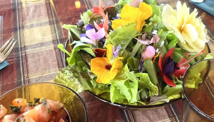 Hja Godu Folki Salat - Eyja- Og Miklaholtshreppur