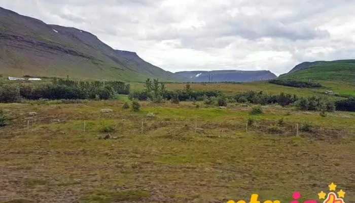 Hofdi Westfjords Fra Gestum - Thingeyri