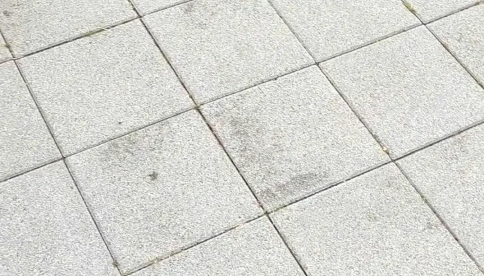 Holdsveikraspitalinn I Laugarnesi Myndskeid - Reykjavík