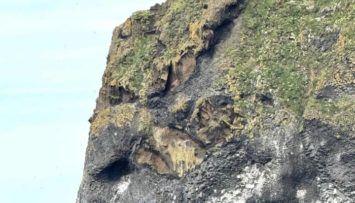 Hop On Hop Off Vestmannaeyjar -  Staðsetning - Vestmannaeyjabær