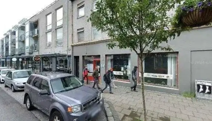 Horg Viðgerðir A Heimilistækjum - Reykjavík