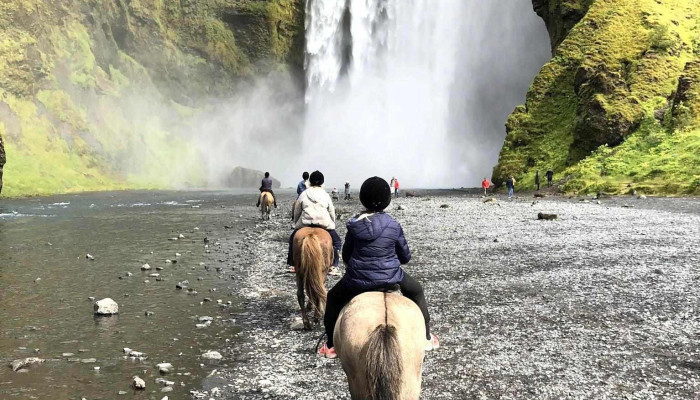 Horse rental Ytri-Skógar - 861
