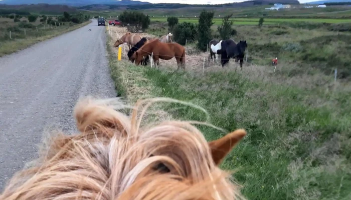 Hrafnagerdi Lodge Horseback Riding Myndir - Egilsstaðir