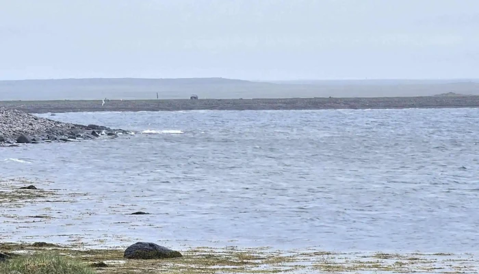Hraunhafnartangi -  Kynning - Asmundarstadhir
