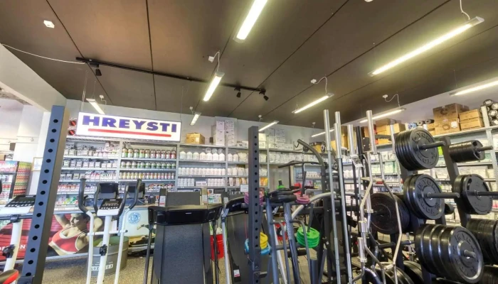 Hreysti -  Ad Innan - Reykjavík