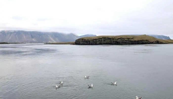Húsgagnaval - 780 Höfn Í Hornafirði