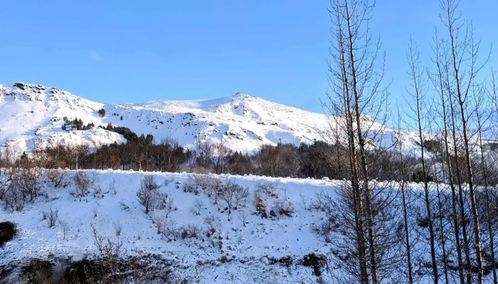 Hveragerdi Public Park Safn - Hveragerði