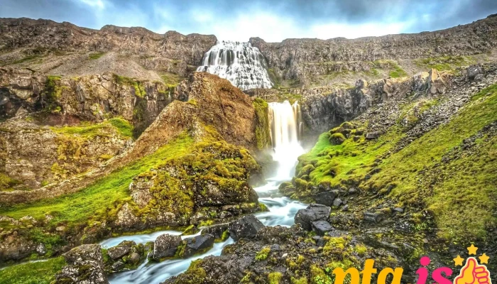 Iceland Advice -  Ferðaskrifstofa - Reykjavík