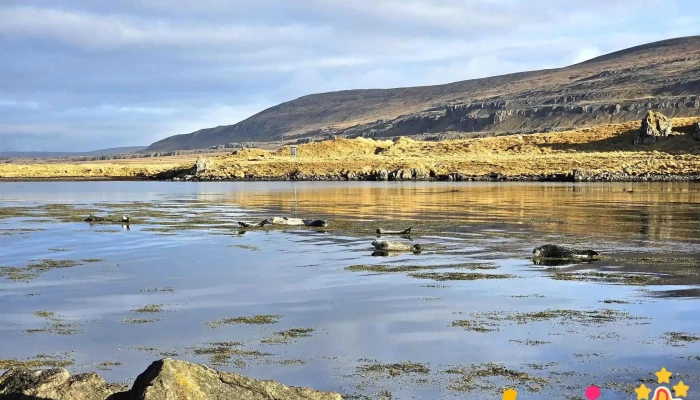 Illugastaðir selaskoðun - Ísland