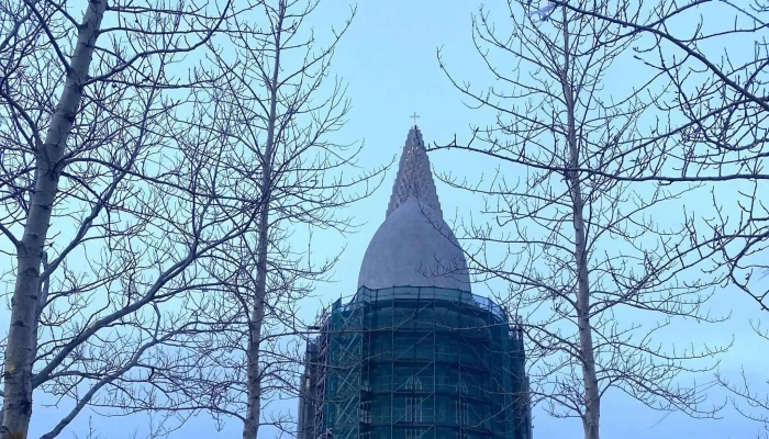 Innkirtlagongudeild   Gongudeild Sykursyki Umsagnir - Reykjavík