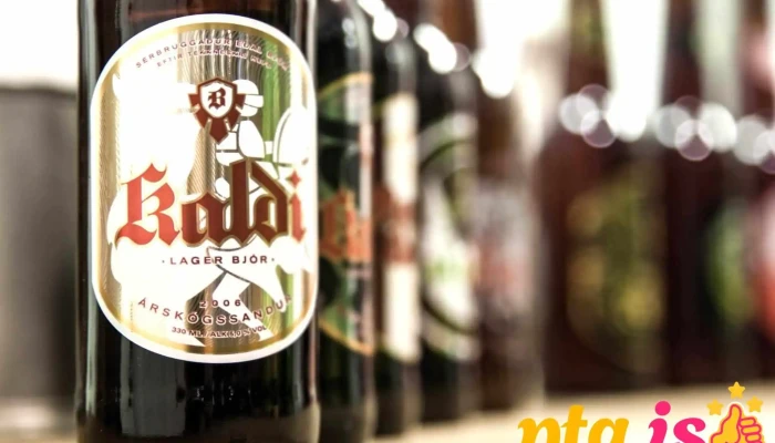 KaldiBeerTV - Iceland