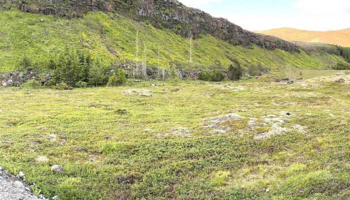Kamburinn Sumarhus Hveragerði 9 - Hveragerði