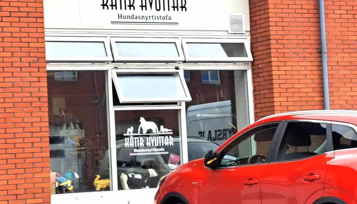 Katir Hvuttar Opið Nuna - Kópavogur