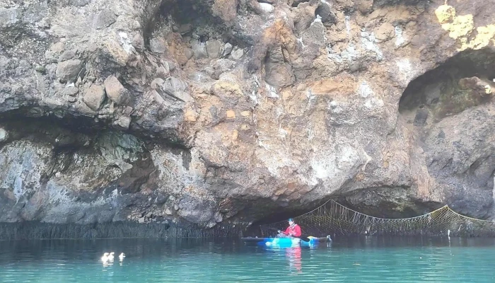 Kayak And Puffins -  Aætlun - Vestmannaeyjabær