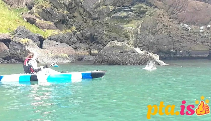 Kayak And Puffins -  Fra Eiganda - Vestmannaeyjabær