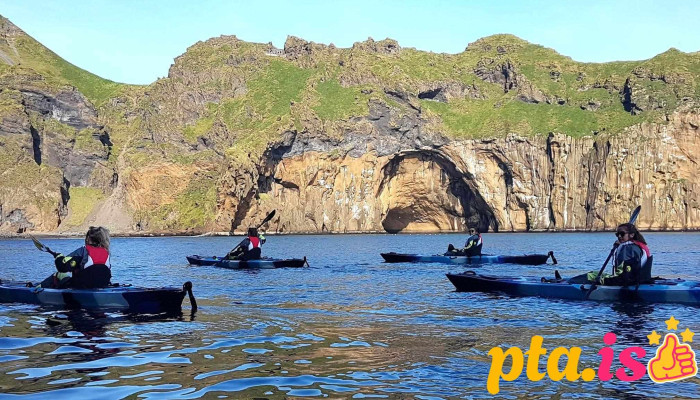 Kayak And Puffins -  Kano Og Kajakferðaskrifstofa - Vestmannaeyjabær
