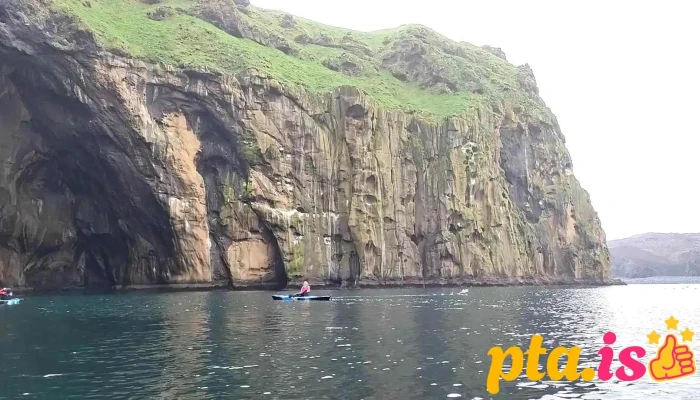 Kayak And Puffins -  Myndskeid - Vestmannaeyjabær