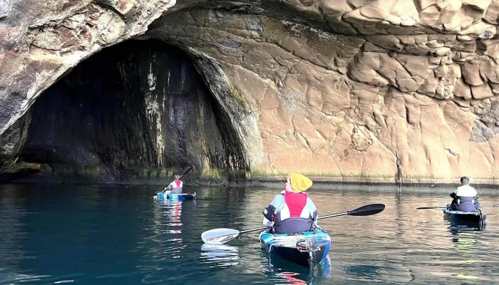 Kayak And Puffins -  Verð - Vestmannaeyjabær