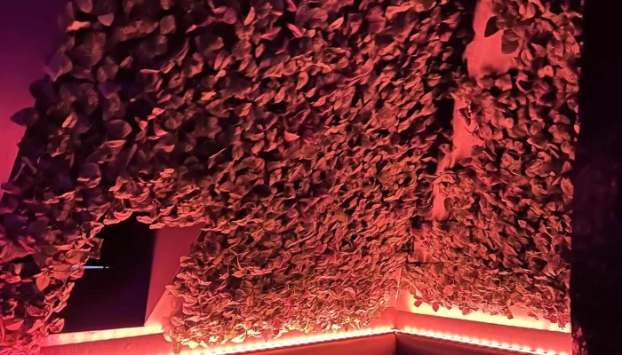 Kiki Queer Bar Umsagnir - Reykjavík