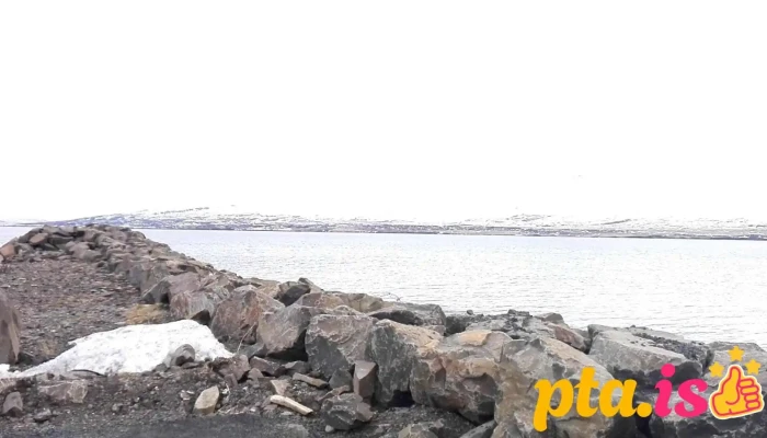 Kjarnafæði - Svalbarðseyrarvegur