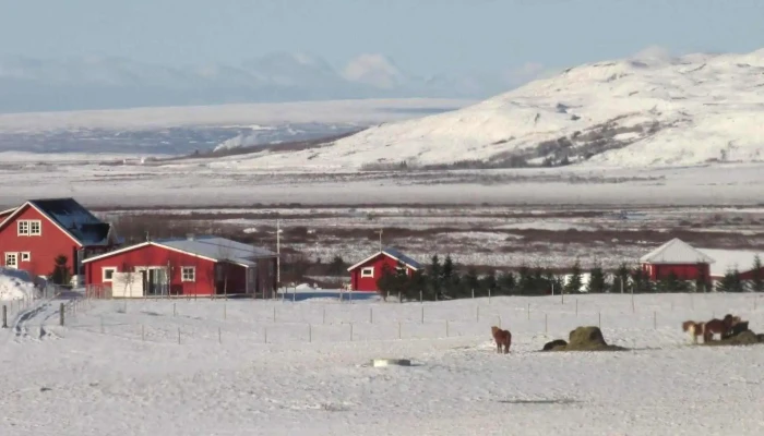 Kjoastadir Iceland - Iceland