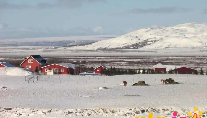 Kjóastaðir - Iceland