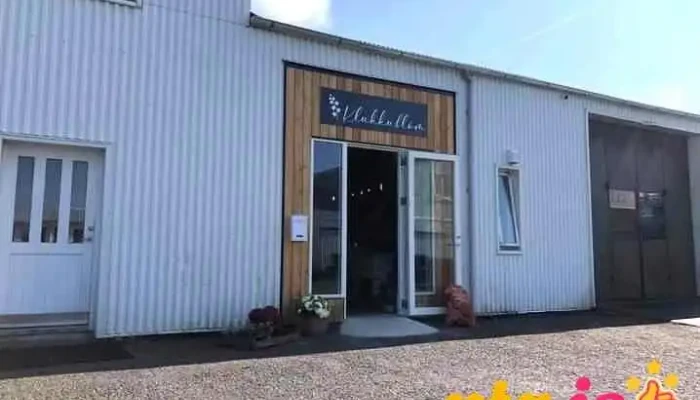 Klukkublóm - 3 3. Hæð