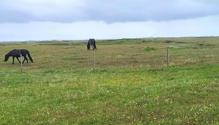 Knarrarosviti Myndir - Stokkseyri