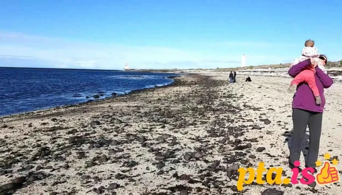 Knattspyrnufelagið Viðir Garður 4 - Garður