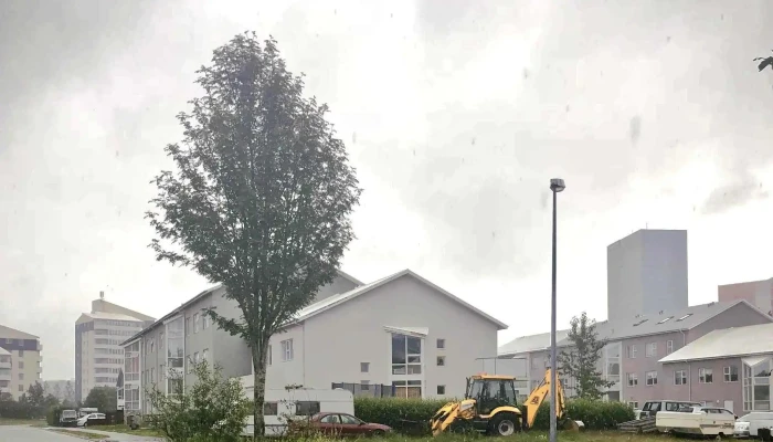 Laekjasmari Safn - Kópavogur