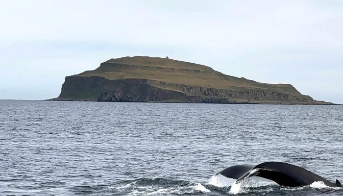 Laki Tours Einkunn - Hólmavík