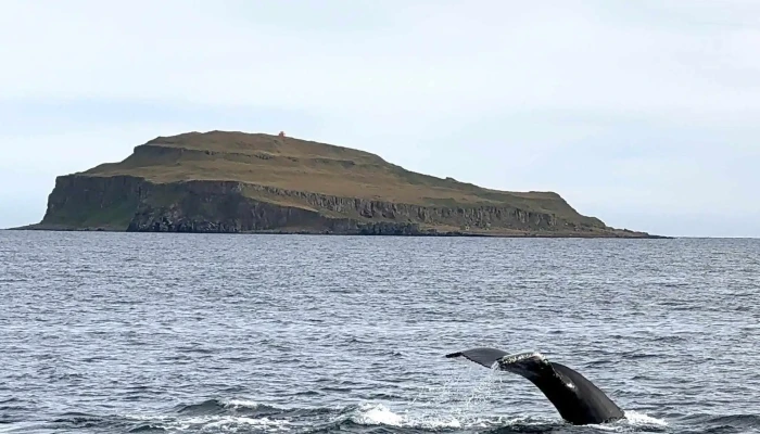 Laki Tours Kynning - Hólmavík