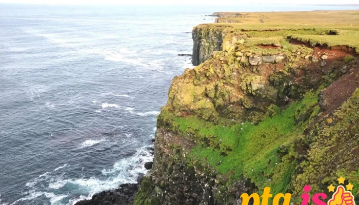 Langanes - Ísland
