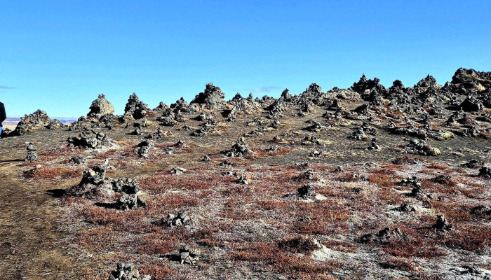 Laufskalavarda Vefsiða - Þjóðvegur