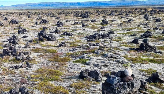 Laufskalavarda Verð - Þjóðvegur