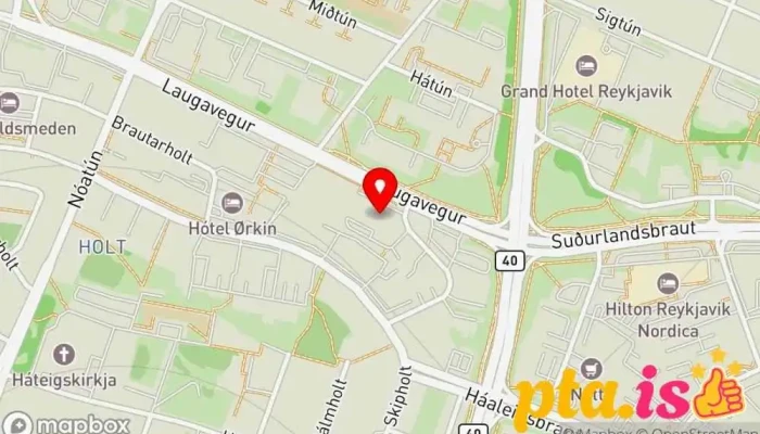 Leidin Heim   Holistic Healing Center Reykjavik Kort - Reykjavík