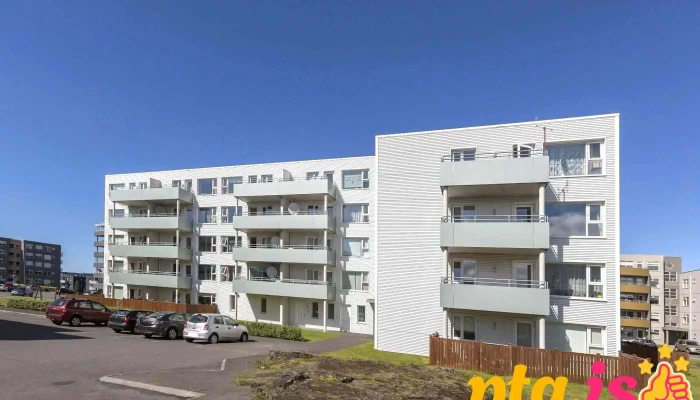 Leigufelag Buseta Fra Eiganda - Reykjavík