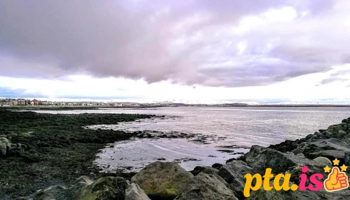 Leikvöllur - 107 Reykjavík