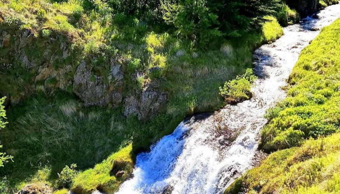 Litli Skogur Almenningsgarður - Sauðárkrókur