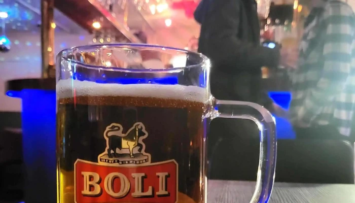 Lundinn Original Puffin Bar Vefsiða - Vestmannaeyjabær