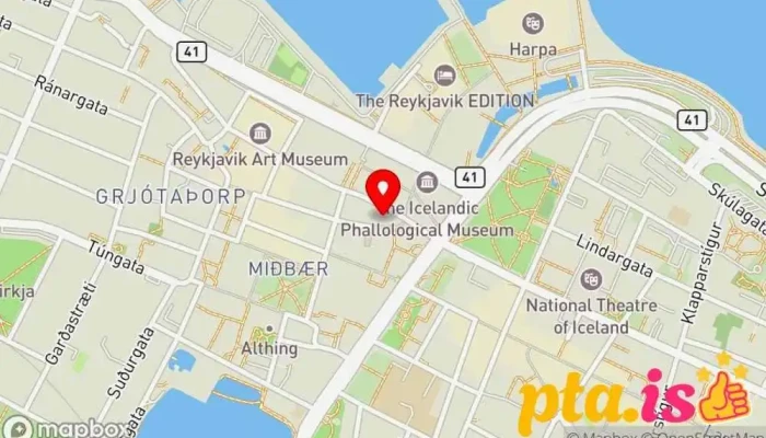 Lyfja Hafnarstraeti Kort - Reykjavík