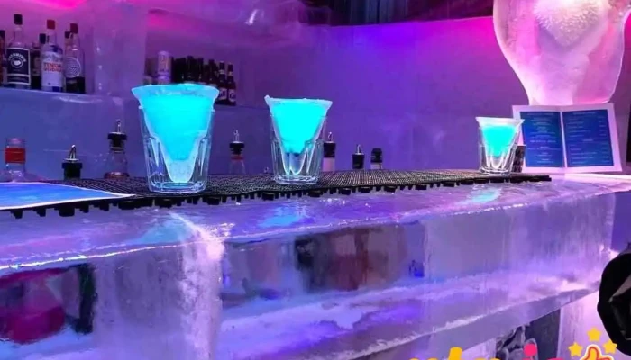 Magic Ice Reykjavik   Ice Bar Gallery Stemning - Reykjavík