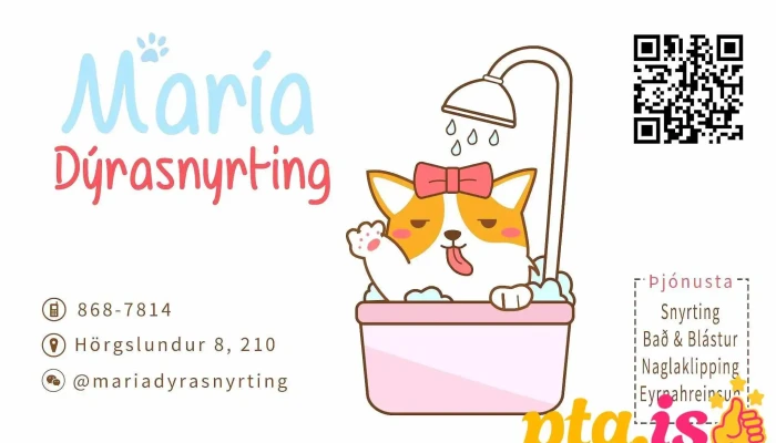 Maria Dyrasnyrting Kottur - Garðabær