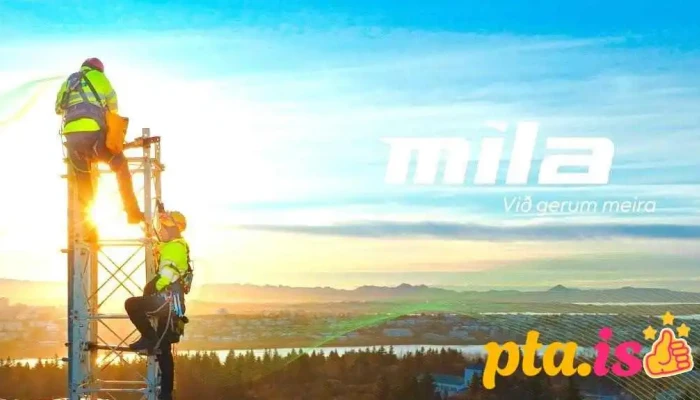 Mila Hf Simafyrirtæki - Reykjavík