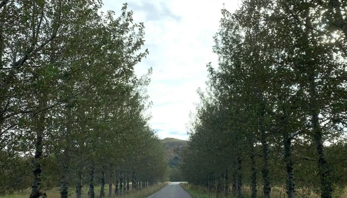 Mosfellskirkja -  Mosfellsbær+258510+15 - Mosfellsbær