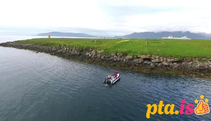 Mr Puffin   Bird Watching Reykjavik Fra Eiganda - Reykjavík