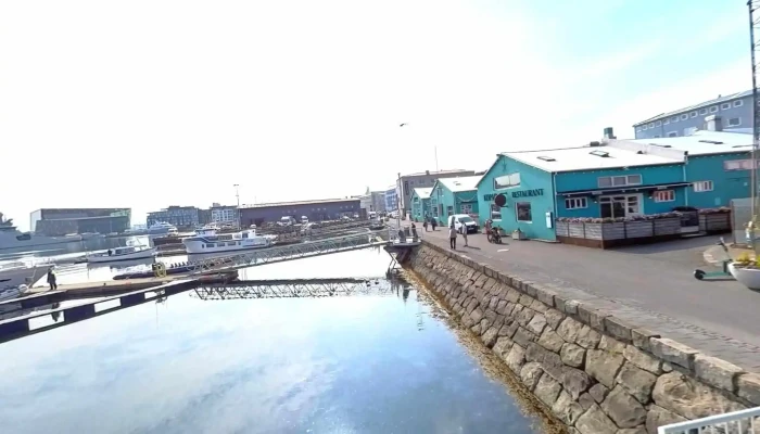 Mr Puffin   Bird Watching Reykjavik Street View 360deg - Reykjavík