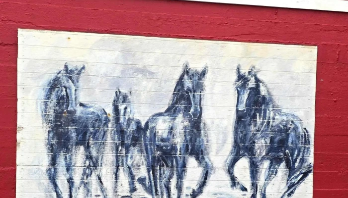 Murals Of Hellissandur -  Aætlun - Hellissandur