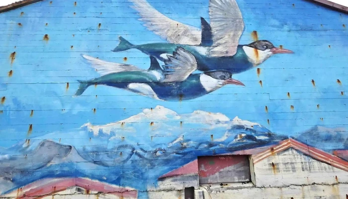 Murals Of Hellissandur -  Hvernig A Að Komast þangað - Hellissandur