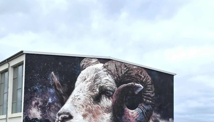 Murals Of Hellissandur -  Umsagnir - Hellissandur